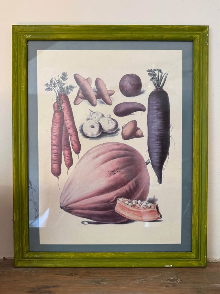 Vintage Vilmorin Vegetable Print - photo 2