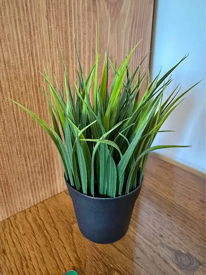 IKEA Fake plant thumbnail