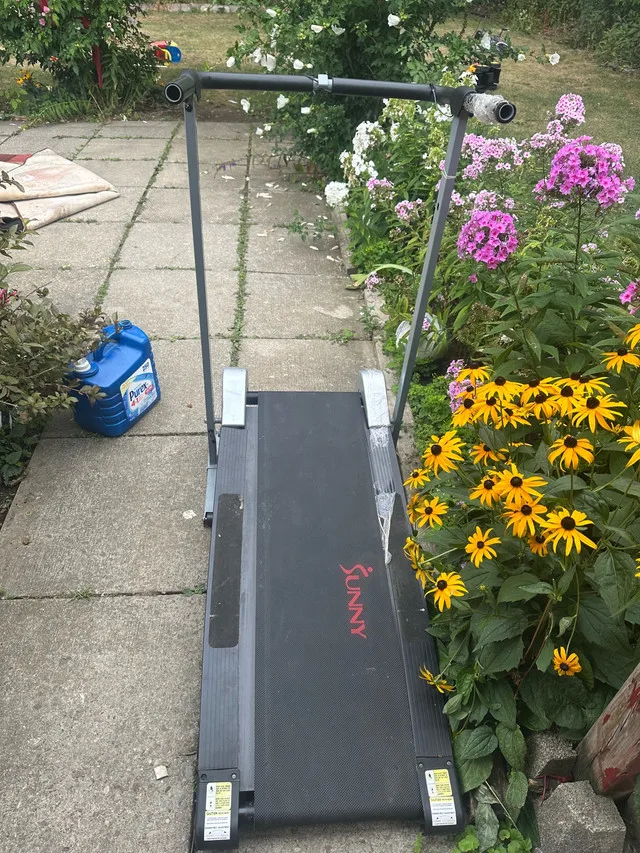 Sunny Treadmill thumbnail