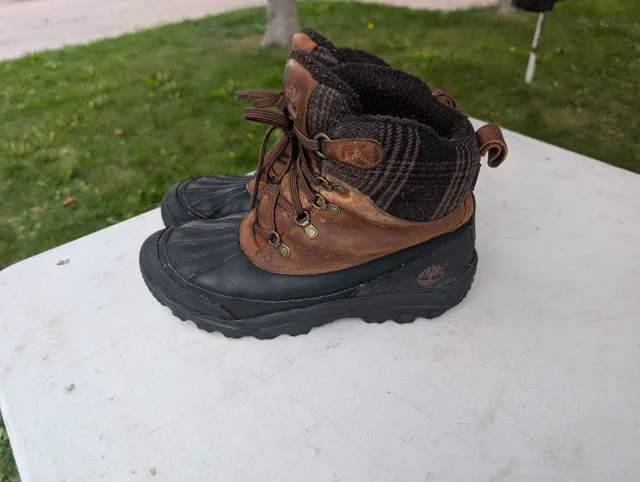 Men's Timberland Winter Boots image indicator(3)