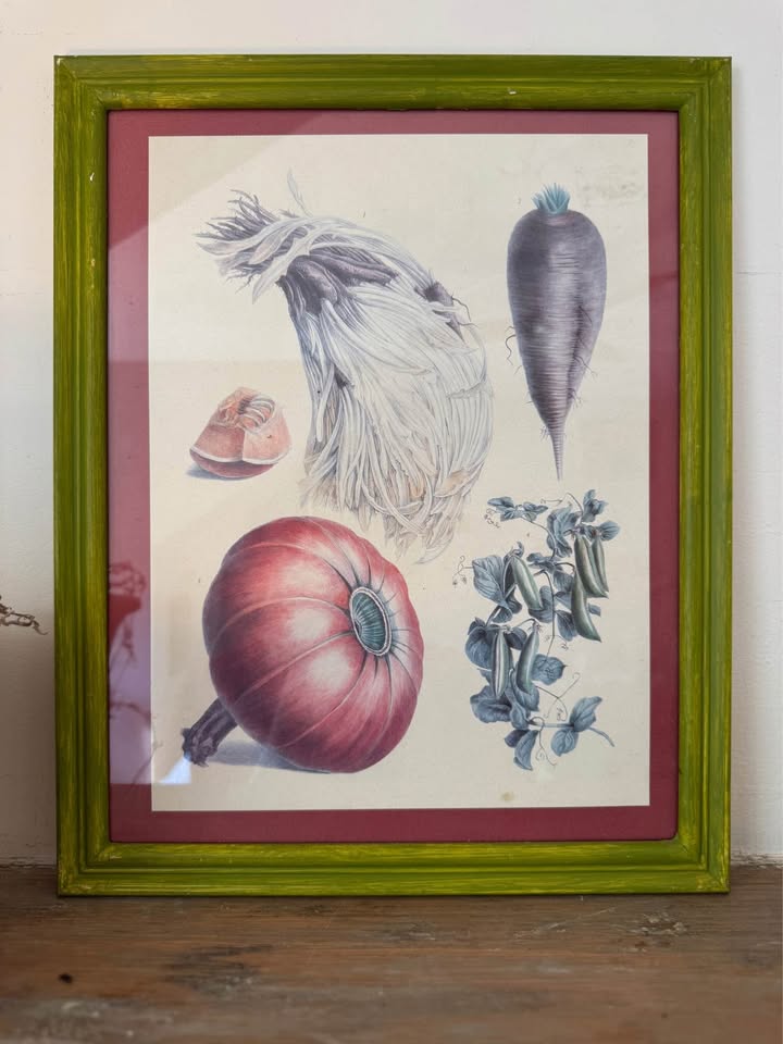 Vintage Botanical Prints Vilmorin-Andrieux & Cie. - photo 2