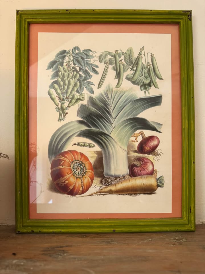 Vintage Botanical Prints Vilmorin-Andrieux & Cie. - photo 3