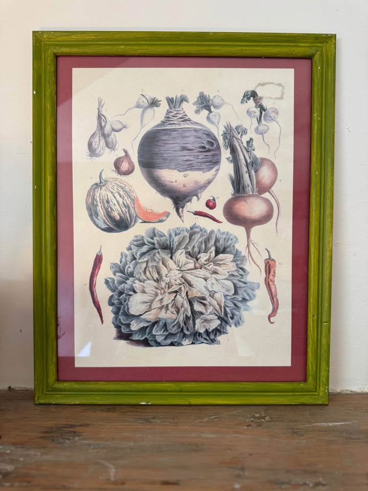 Vintage Botanical Prints Vilmorin-Andrieux & Cie. - photo 4