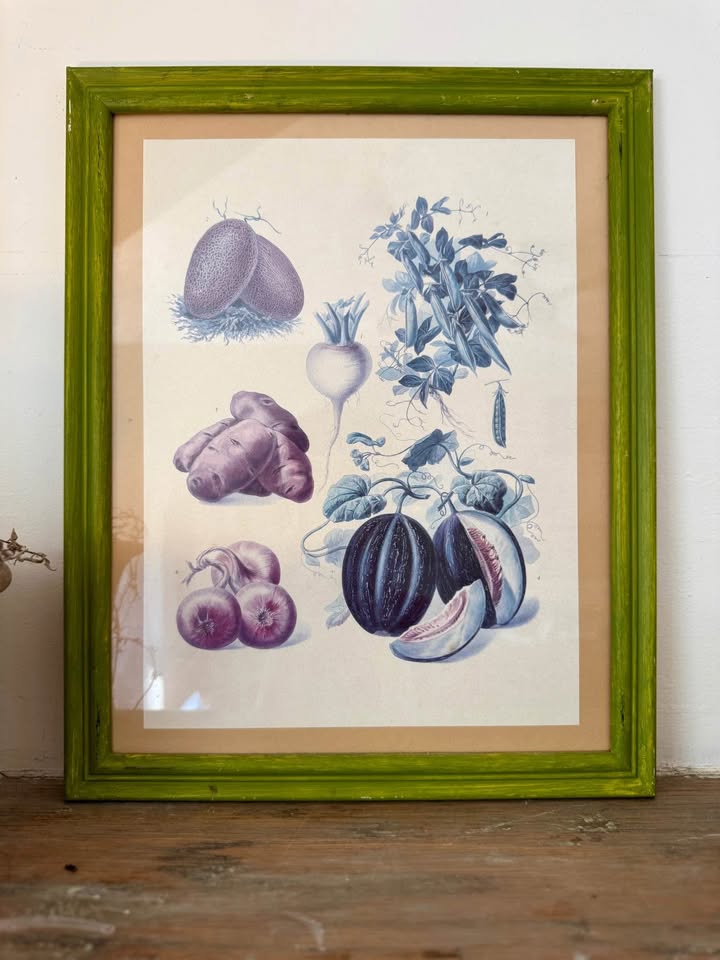 Vintage Botanical Prints Vilmorin-Andrieux & Cie. - photo 5