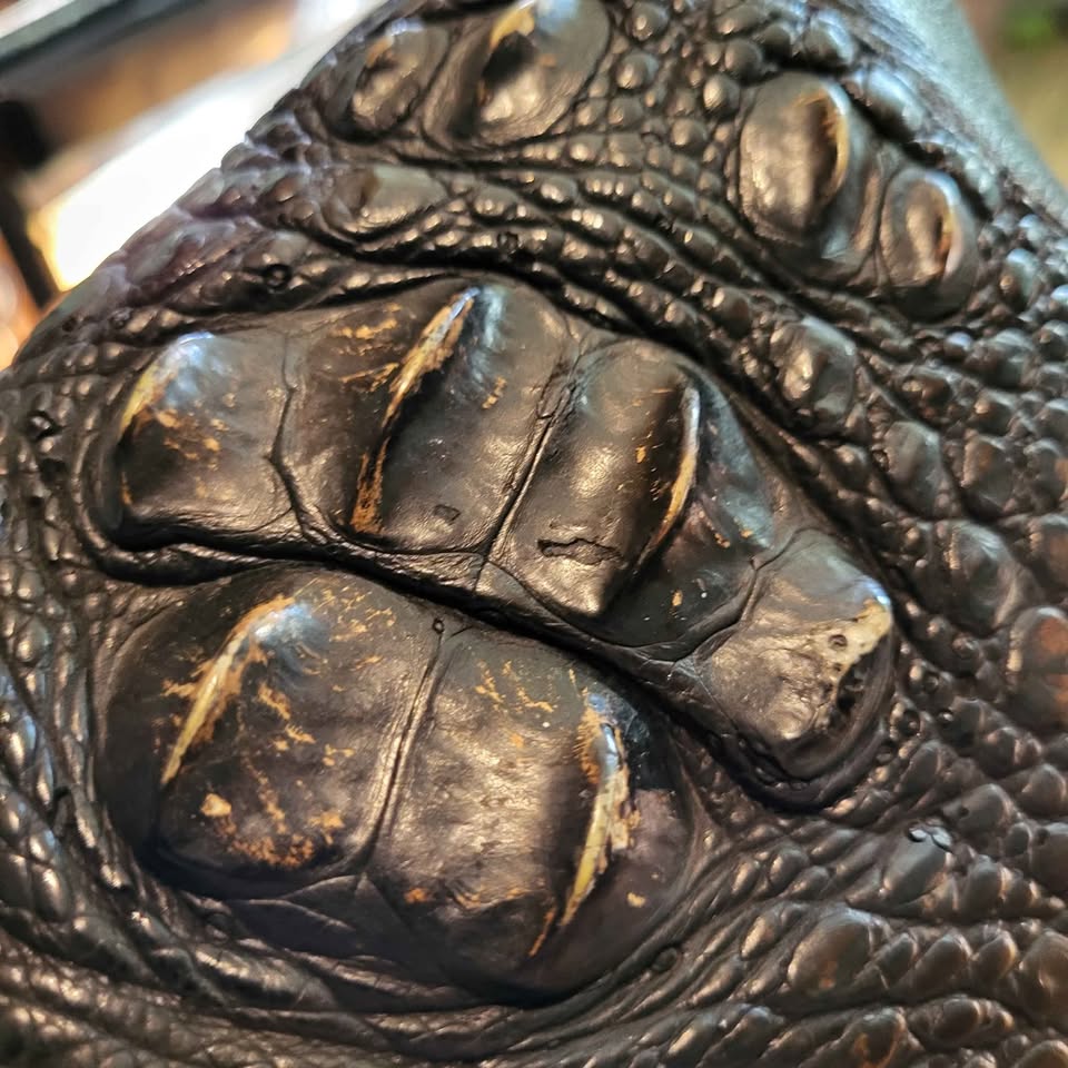 Custom Made Thick Leather Vest gator Inlay – One of a Kind - photo 4