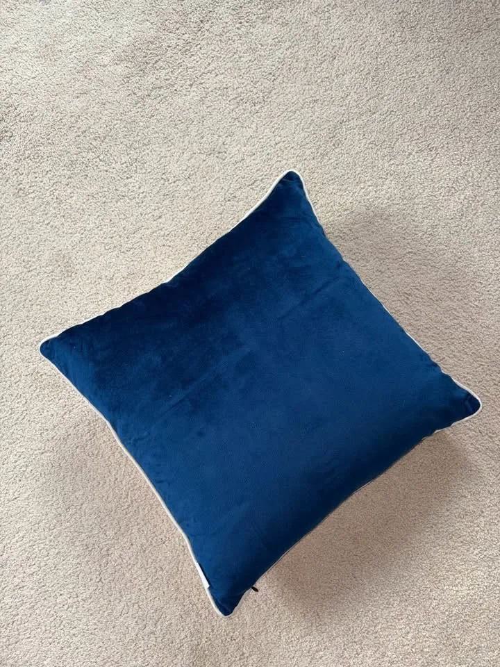 Velvet Throw Pillow and Insert image indicator(6)