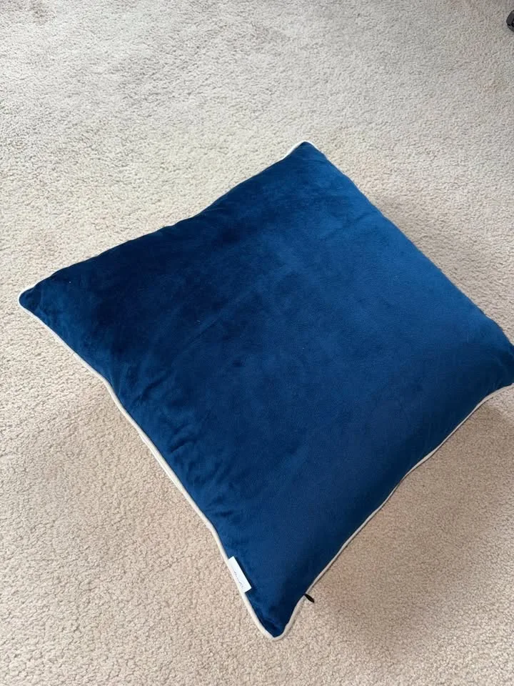 Velvet Throw Pillow and Insert image indicator(7)