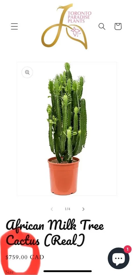 Unique handmade pot & low maintenance plant image indicator(8)