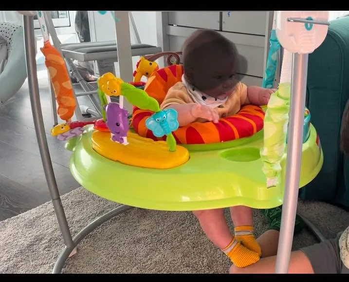 Fisher price tiger time jumperoo image indicator(6)