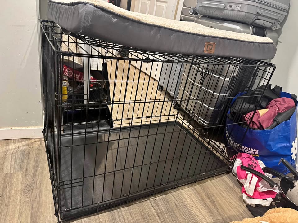 Durable, Foldable Metal Wire Dog Crate with Tray and Bed