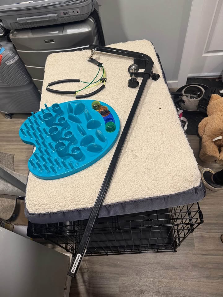 Durable, Foldable Metal Wire Dog Crate with Tray and Bed - photo 5