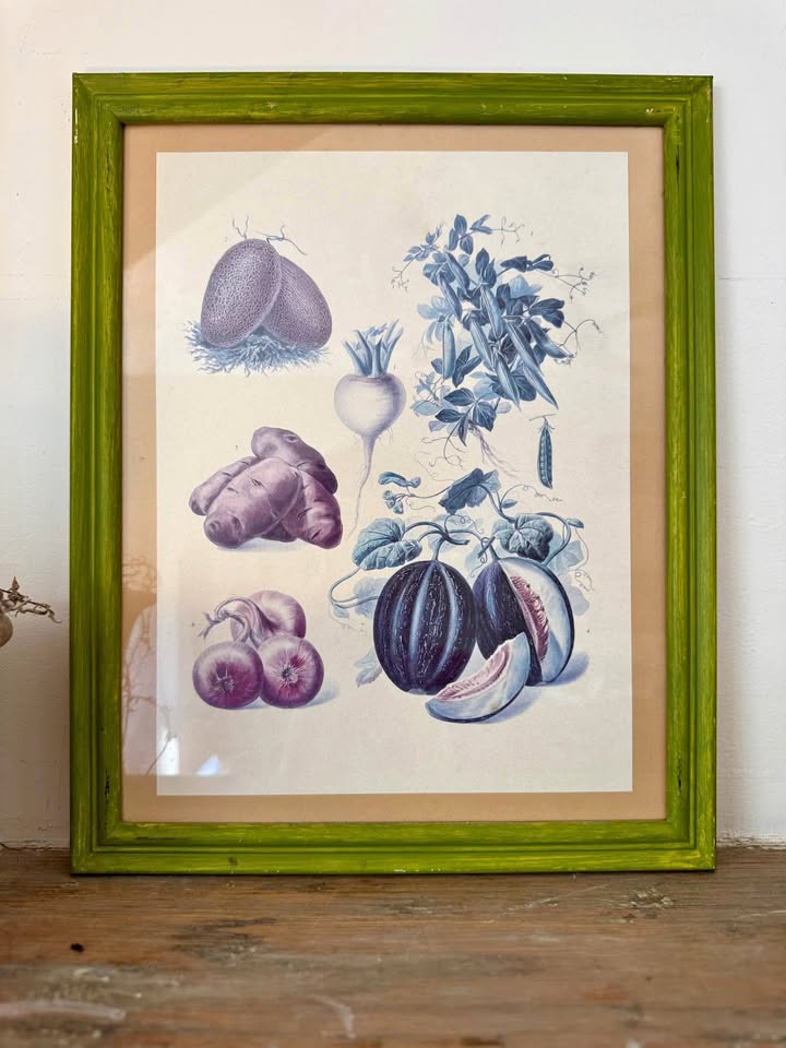 Vintage Botanical Prints