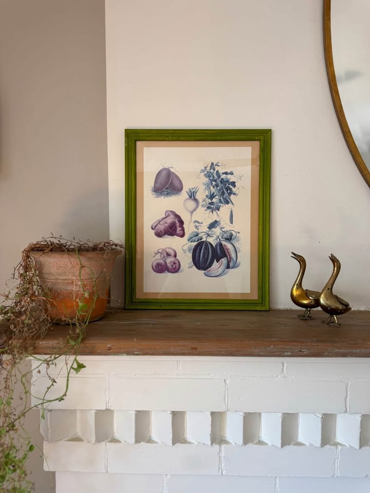 Vintage Botanical Prints - photo 2