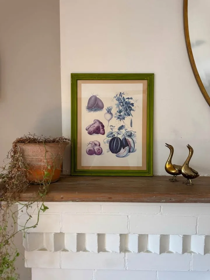 Vintage Botanical Prints image indicator(2)