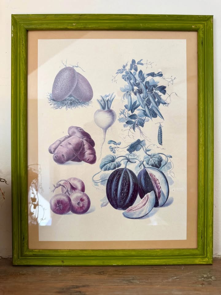 Vintage Botanical Prints - photo 3