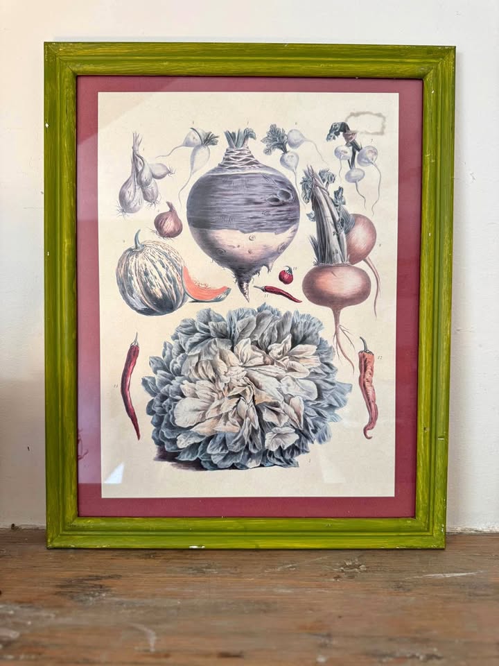Vintage Framed Botanical Prints