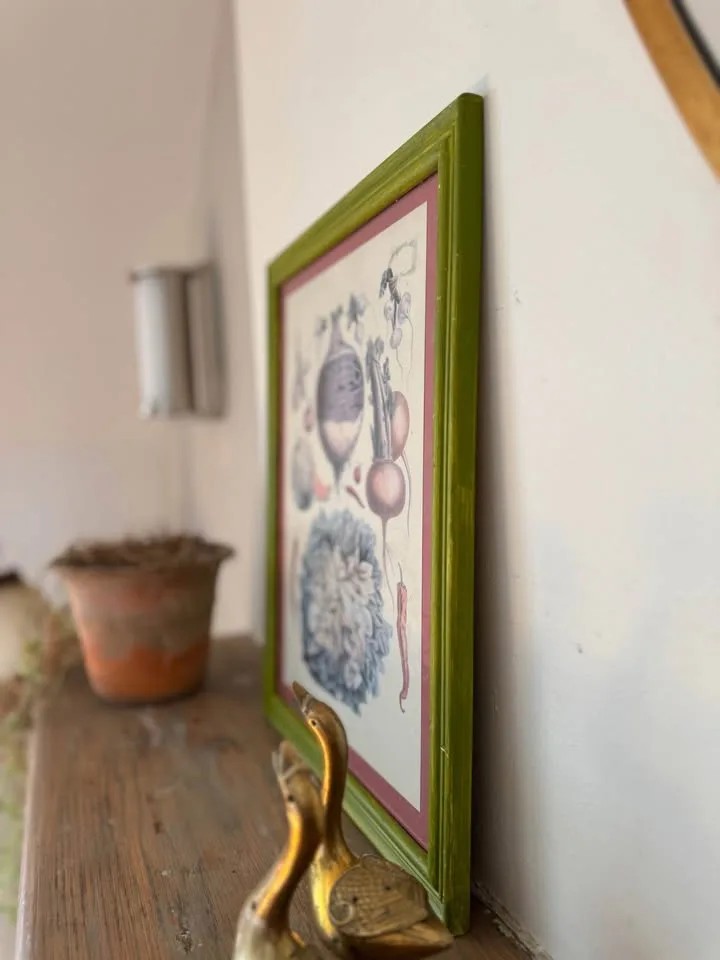 Vintage Framed Botanical Prints image indicator(2)