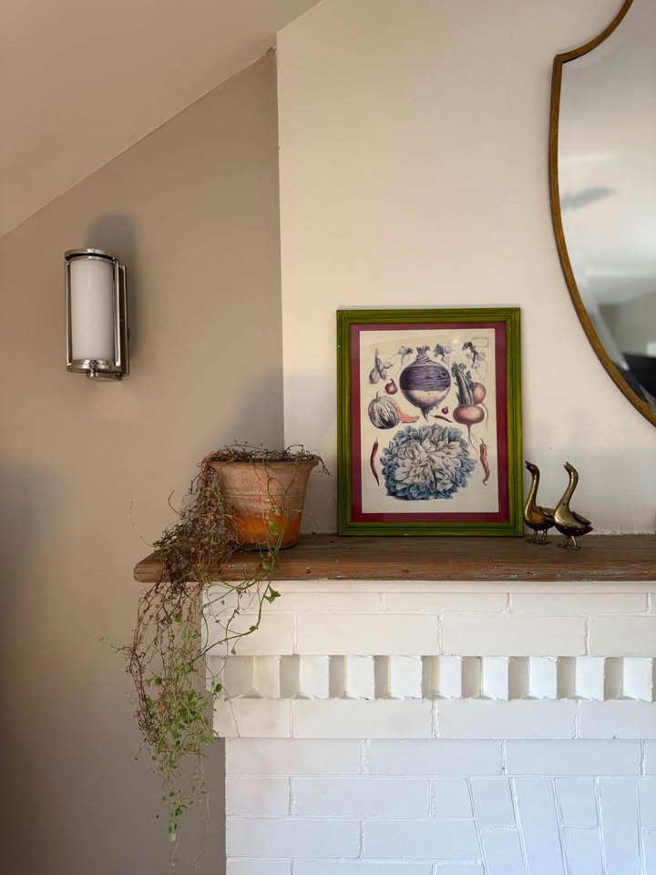 Vintage Framed Botanical Prints - photo 3