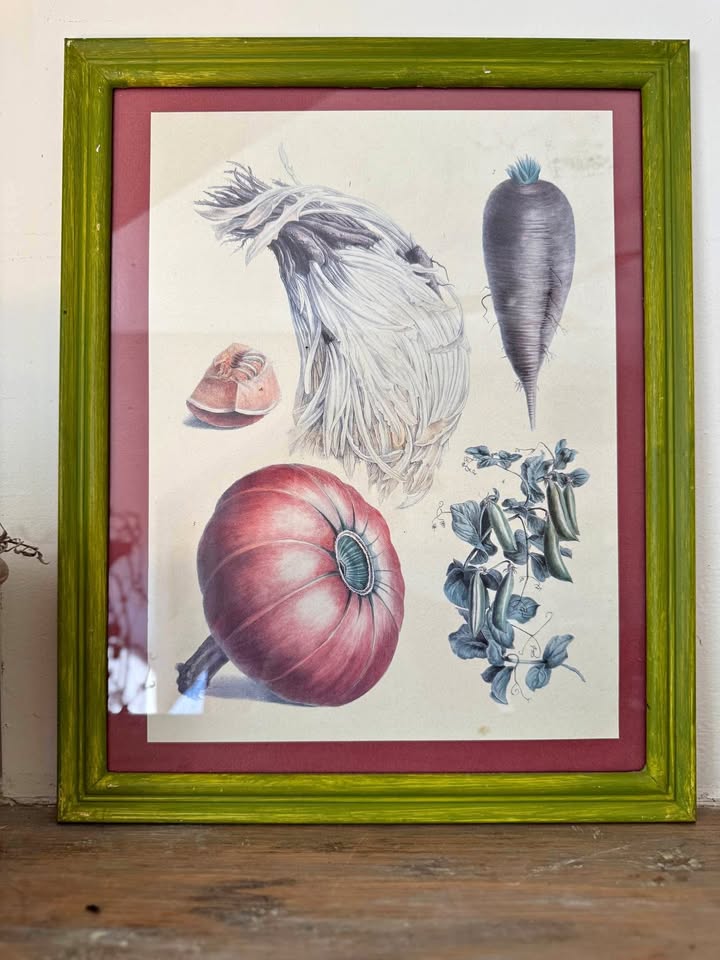 Vintage Framed Botanical Prints