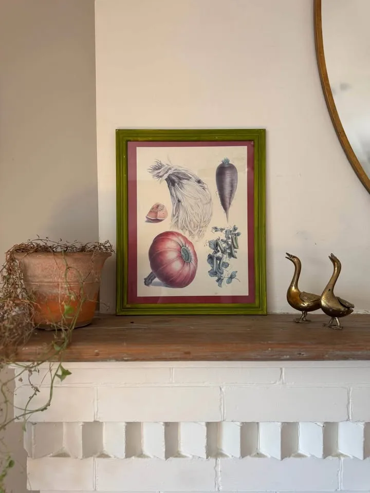 Vintage Framed Botanical Prints image indicator(2)