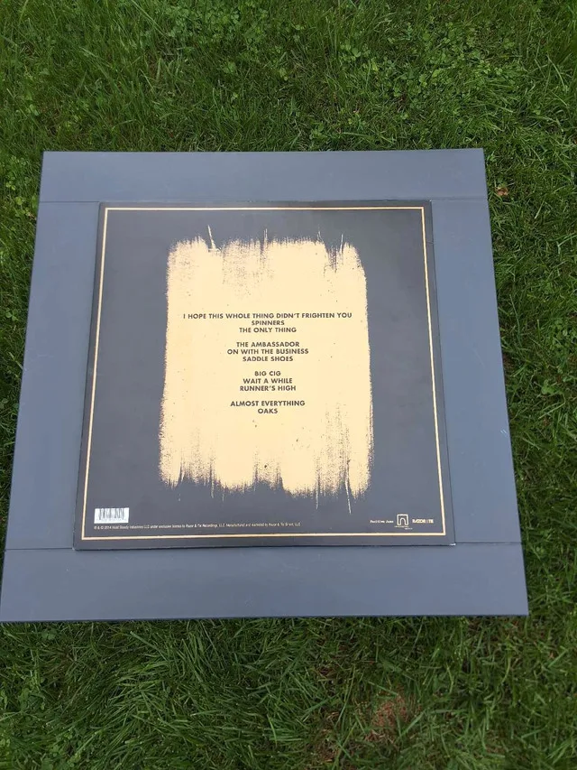 The Hold Steady Vinyl image indicator(2)