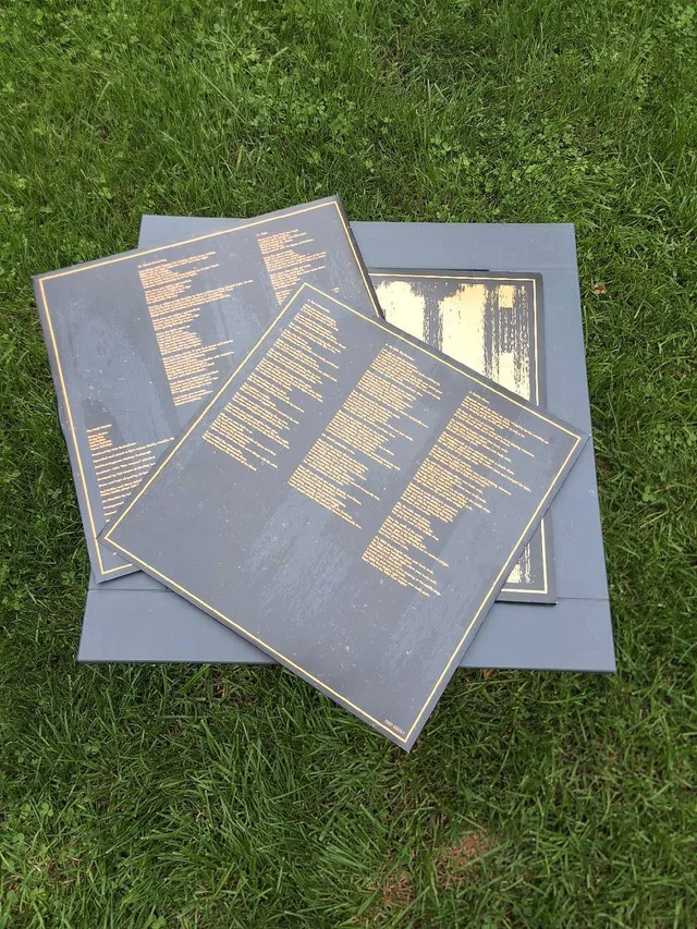 The Hold Steady Vinyl image indicator(3)