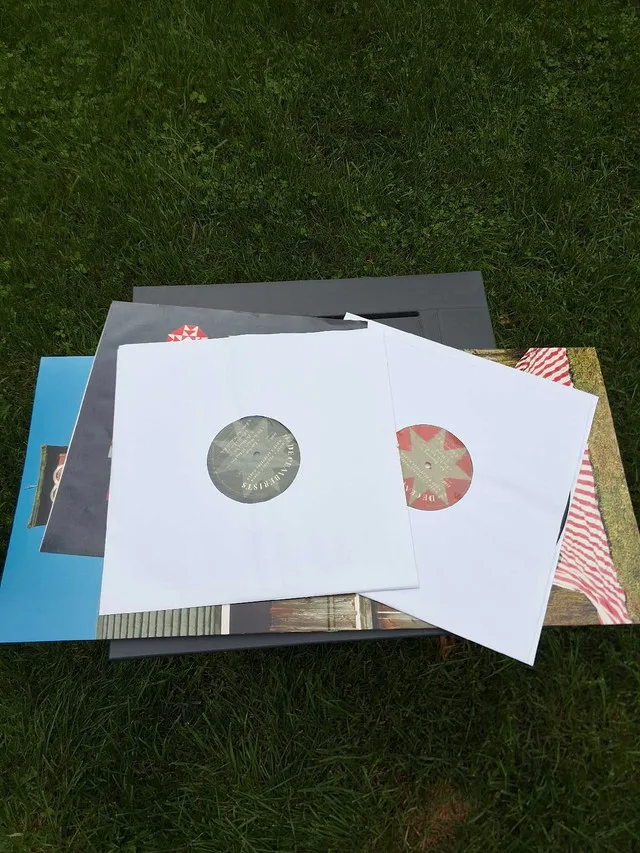 Decemberists Vinyl LP Record image indicator(3)