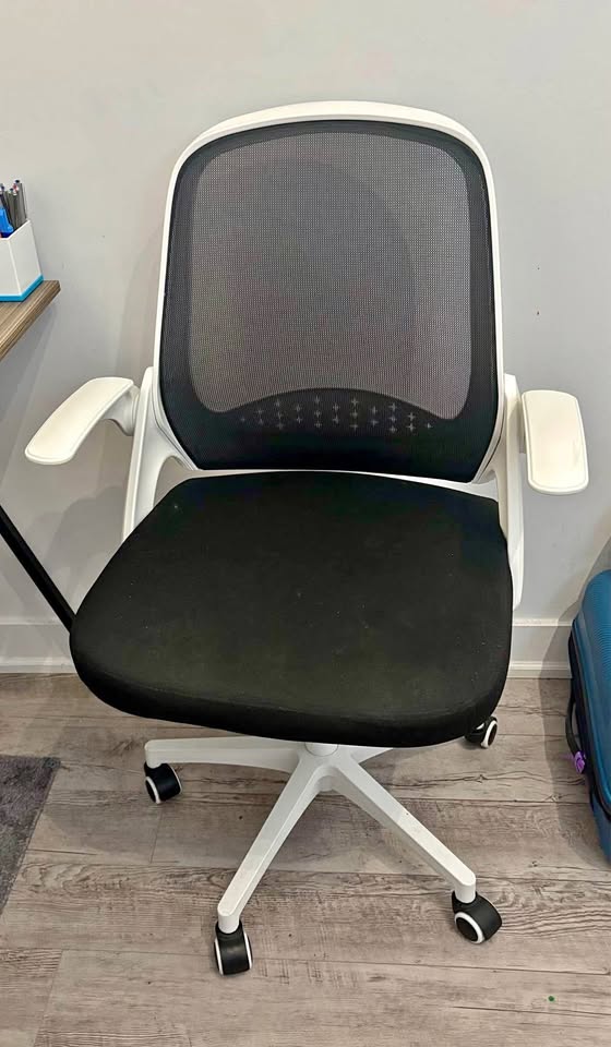 Ergonomic Mesh Task Chair with White Frame