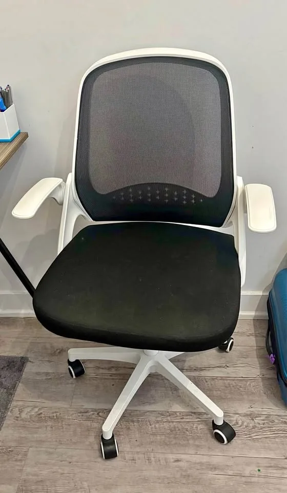 Ergonomic Mesh Task Chair with White Frame