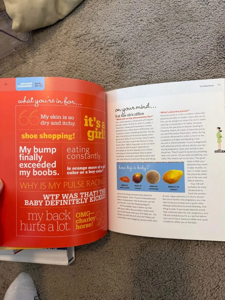 The baby bump book image indicator(2)