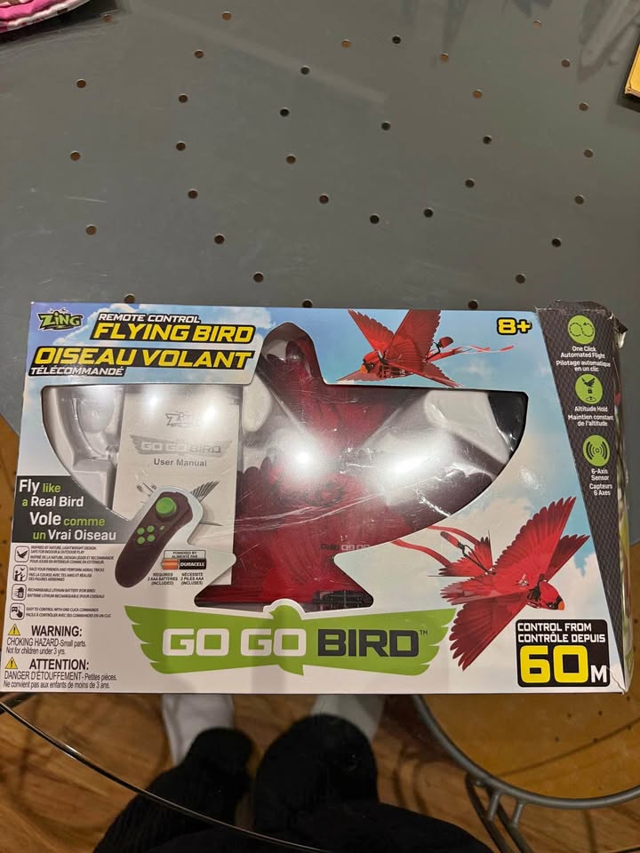 GOGO Bird