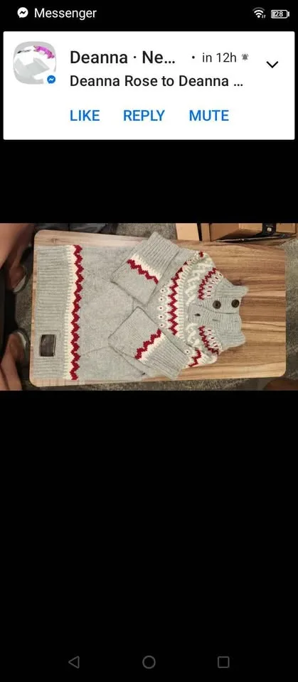 Sweater canadian colours red and grey XL Superdry image indicator(6)