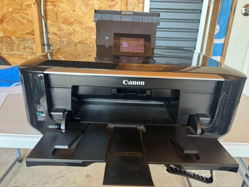 Canon Pixma MG6250 image indicator(3)