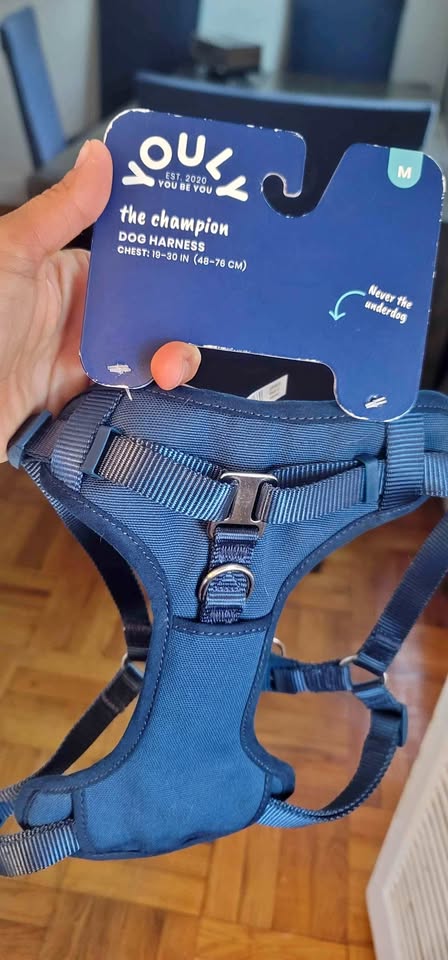 dog harness size M