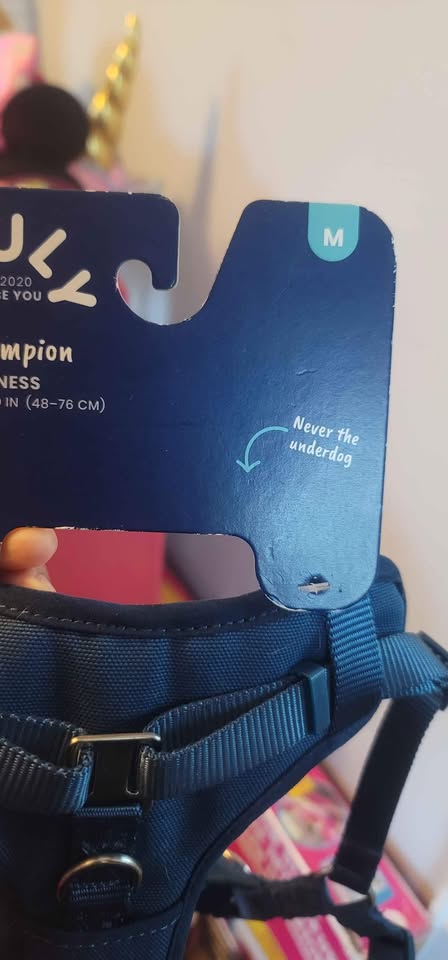 dog harness size M - photo 3