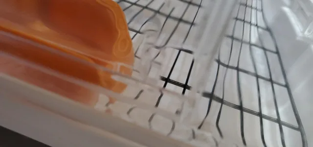 Bird Cage For Small Birds image indicator(5)