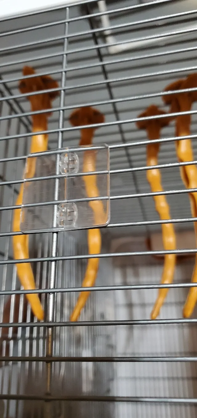 Bird Cage For Small Birds image indicator(7)