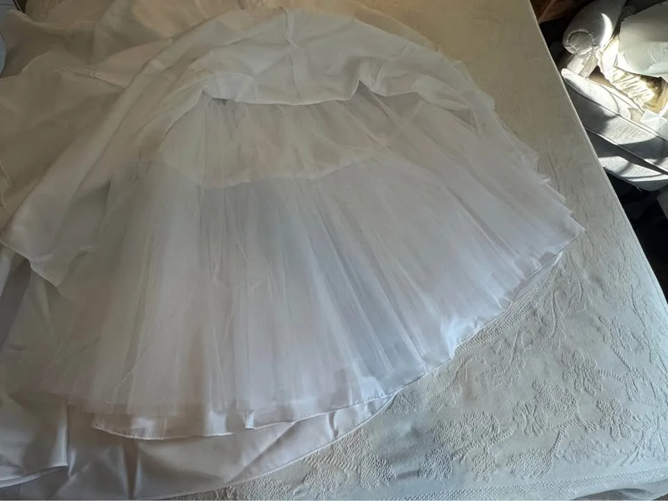 Wedding Dress – David’s Bridal Size 12 image indicator(5)