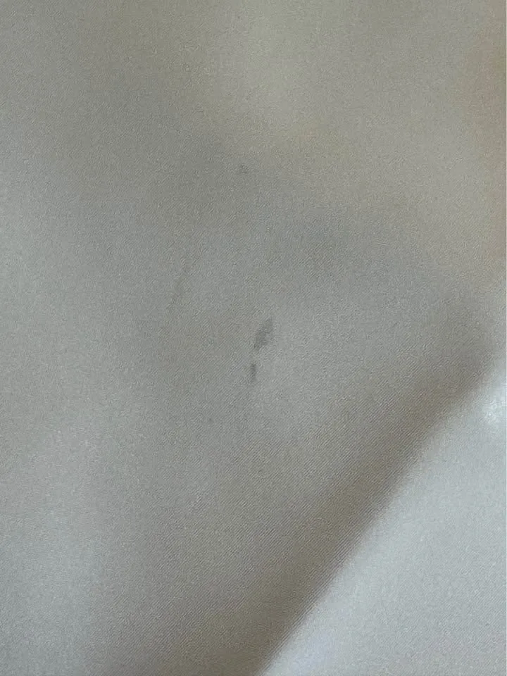 Wedding Dress – David’s Bridal Size 12 image indicator(7)