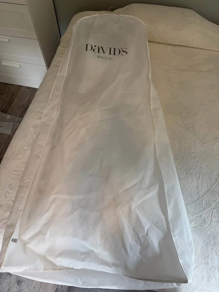 Wedding Dress – David’s Bridal Size 12 image indicator(10)