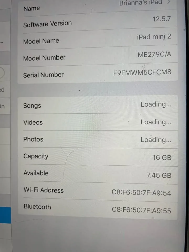 Ipad mini 2 image indicator(3)