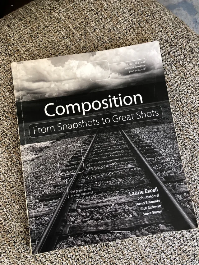 Composition From Snapshots to Great Shots thumbnail