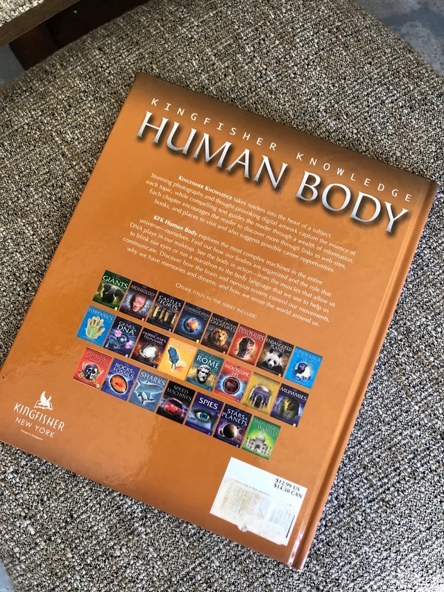 Kingfisher Knowledge Human Body image indicator(2)