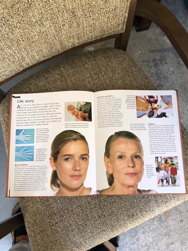 Kingfisher Knowledge Human Body image indicator(3)