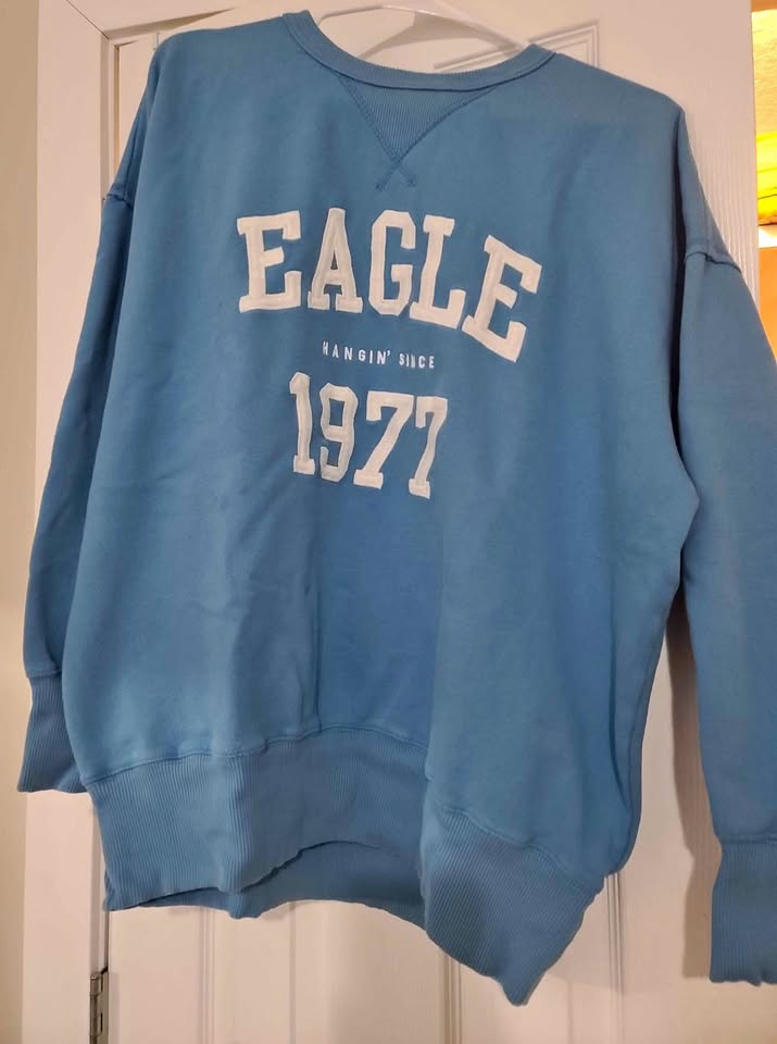 American eagle sweater and sweatshirt brand new