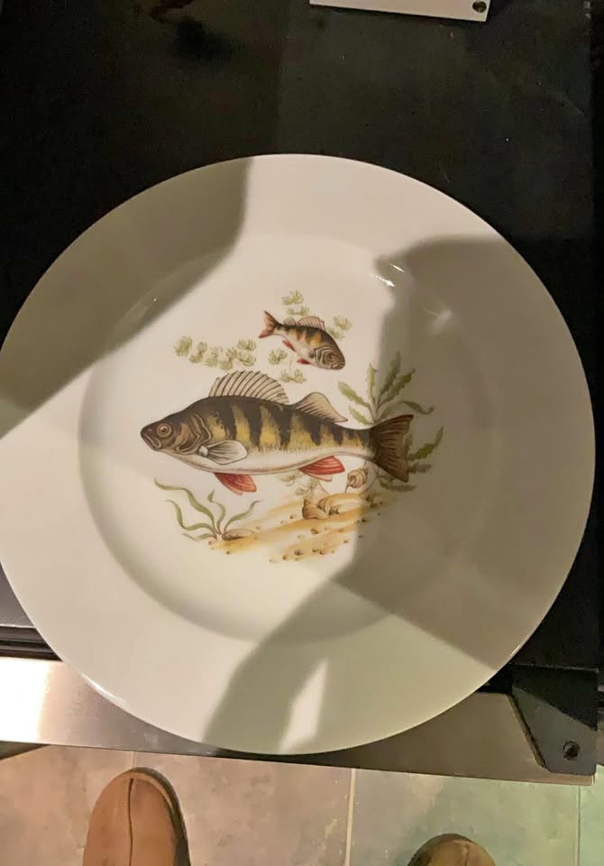 Limoges porcelain plates (8)