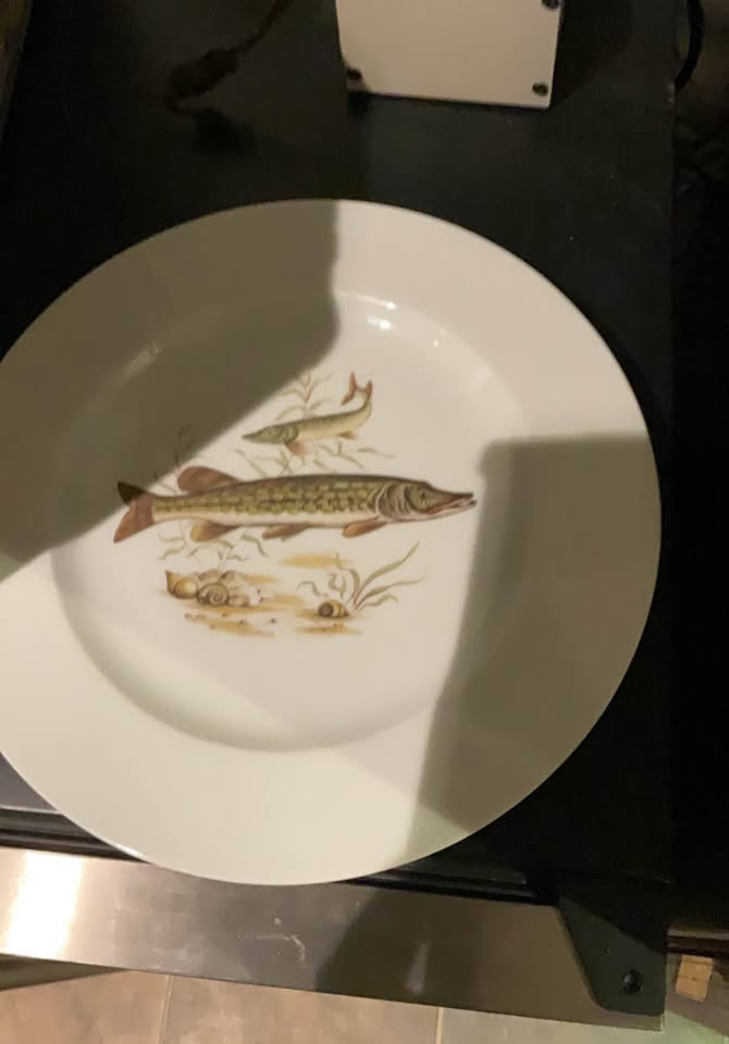 Limoges porcelain plates (8) - photo 4