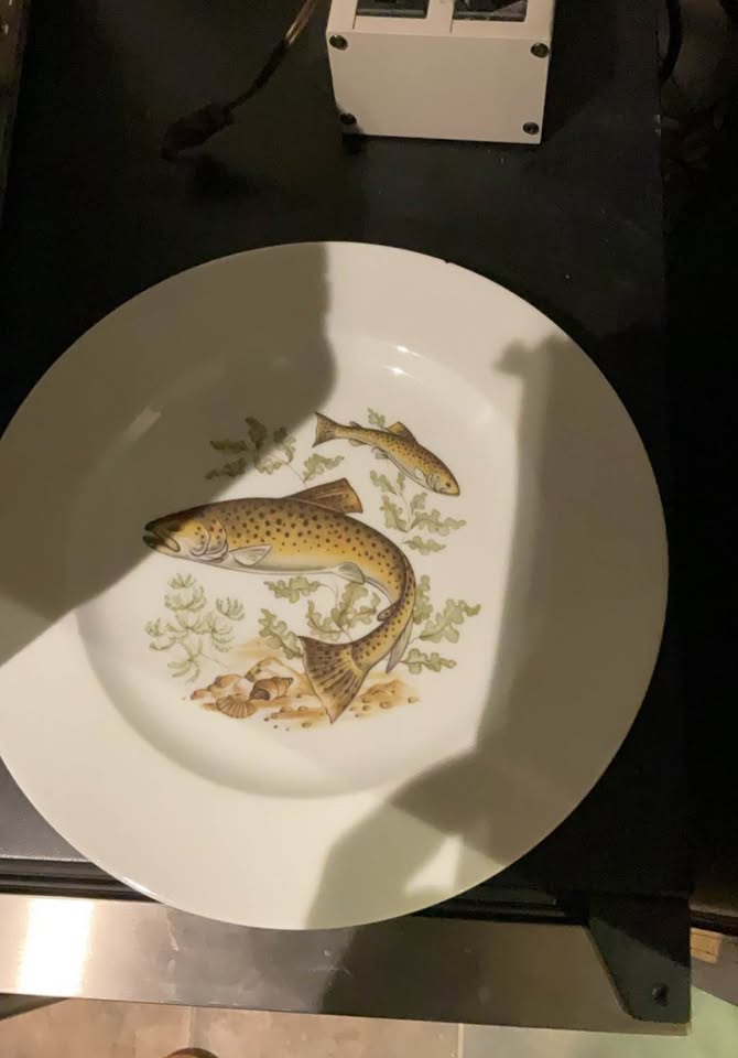 Limoges porcelain plates (8) - photo 5