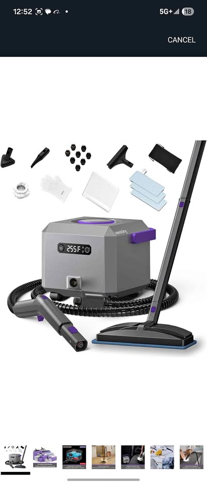 Steam Cleaner