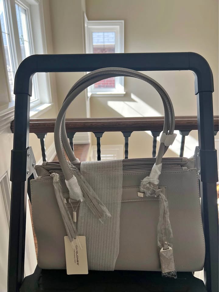 David Jones Purse